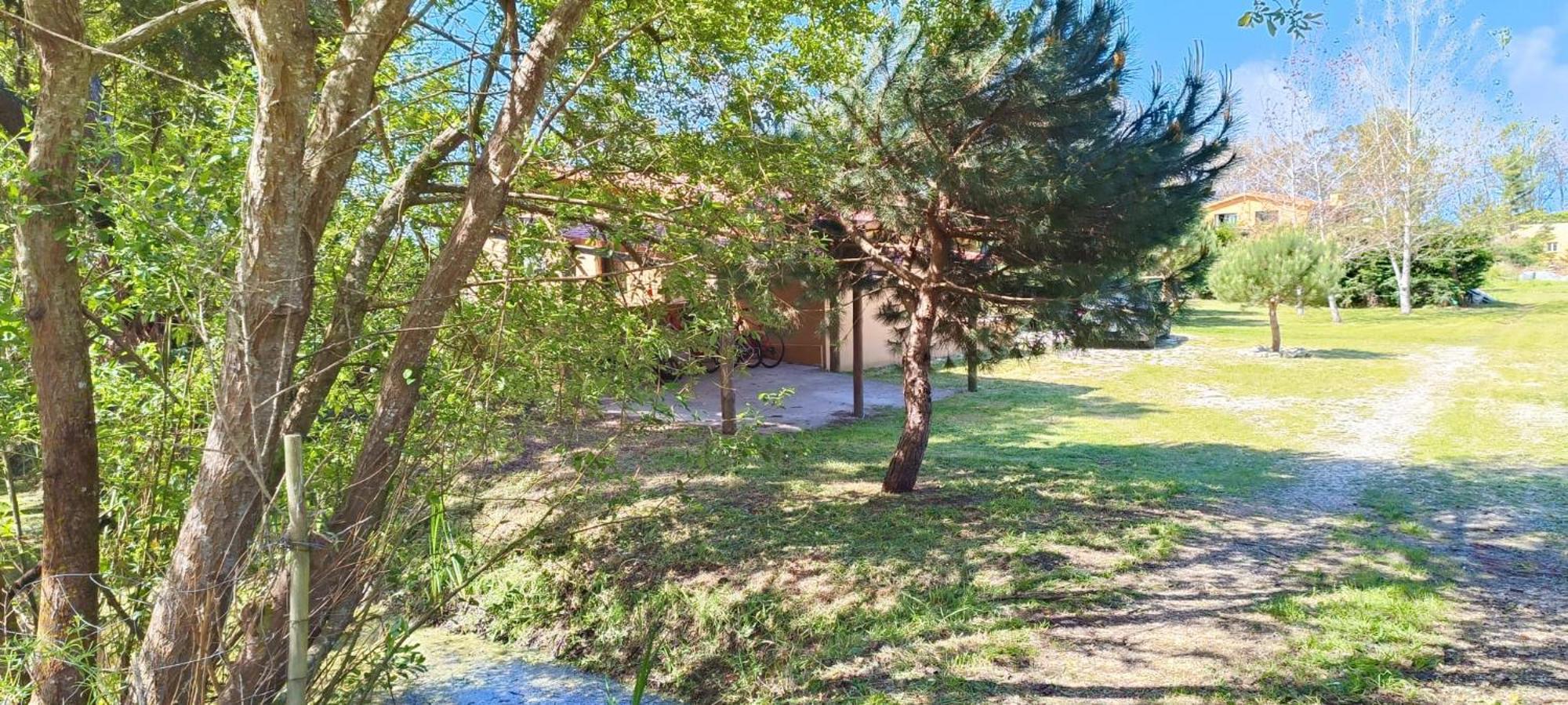 Villa Casa Da Mata Praia de Mira Exterior foto